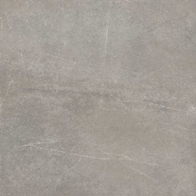 Astra Grey Matt 450x450 Floor/Wall Tile